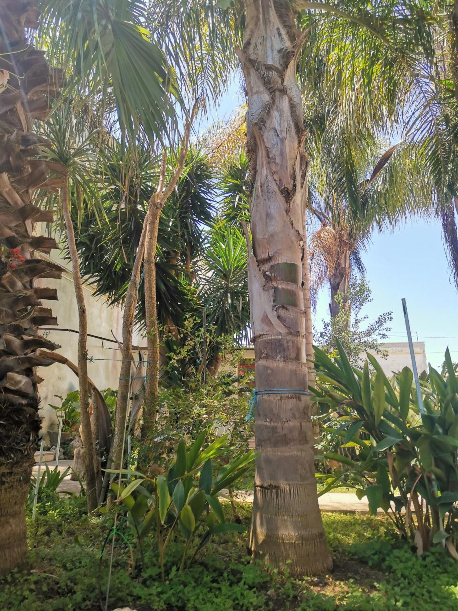 Like At Home Salento - Rustic Bungalow Muro Leccese Exterior foto